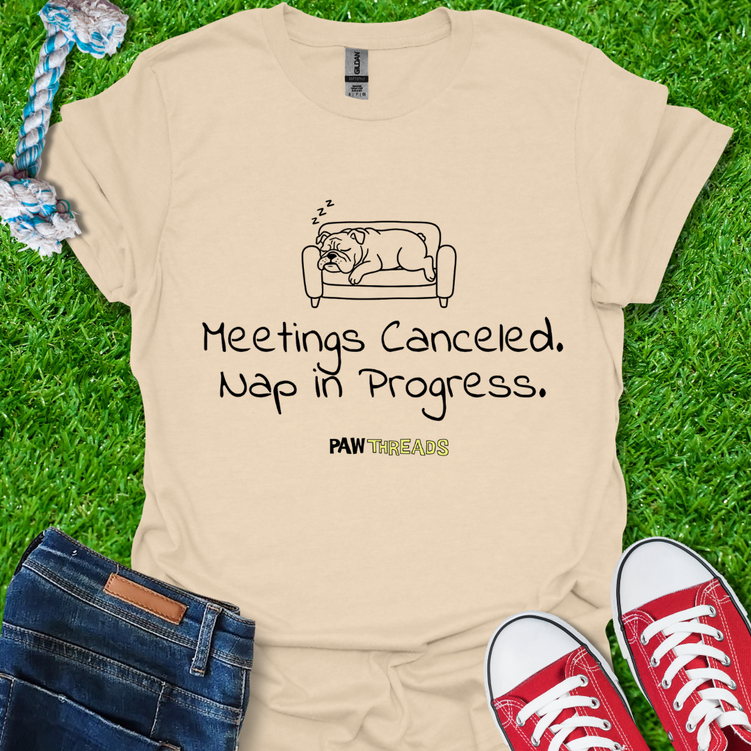 Meeting Canceled T-Shirt